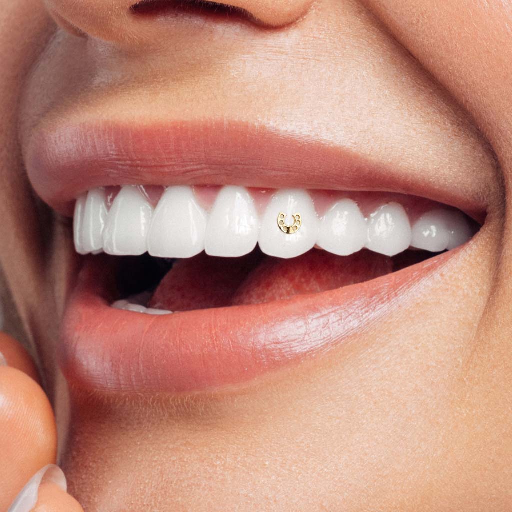 134-Horseshoe_tooth-gem-twinkles-dental-jewelry_in_smile divi-cart-pro-about-1